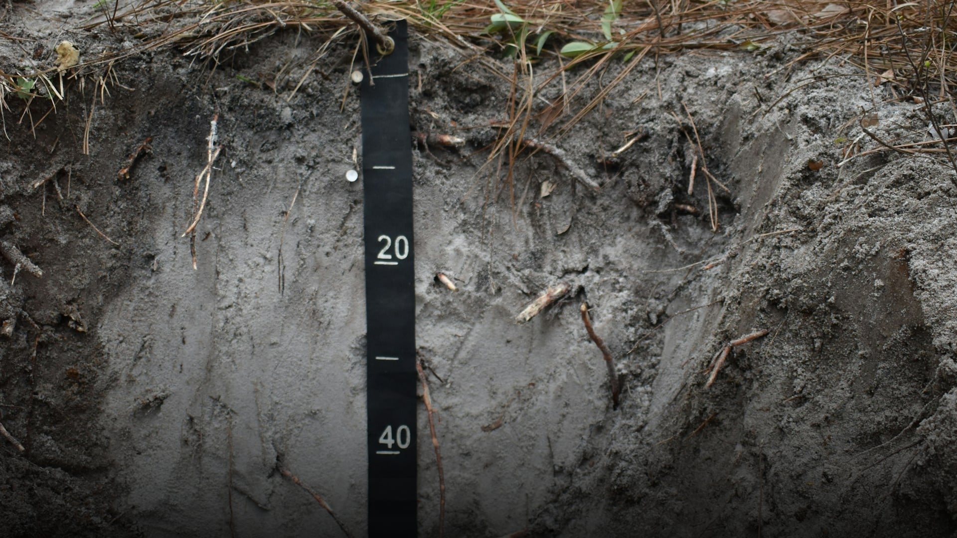 Septic and Perc Tests: The Two Words That Decide If Rural Land Is Usable